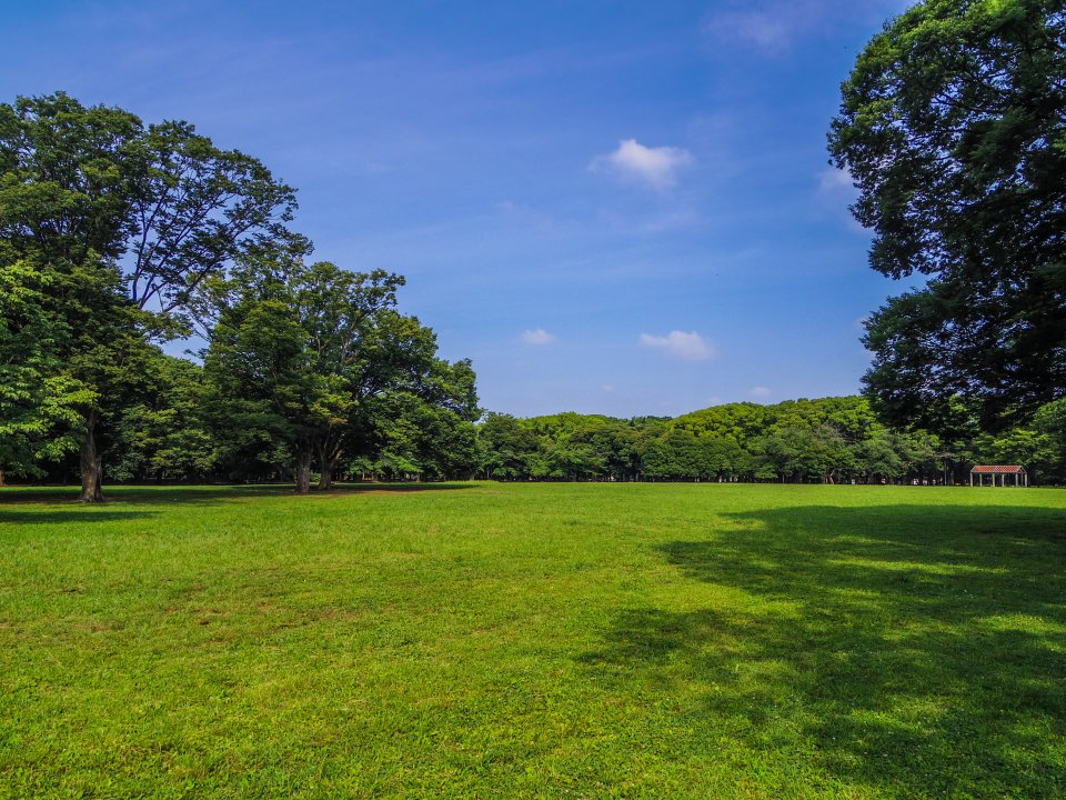魅力満載!代々木の駅近賃貸オフィス一覧