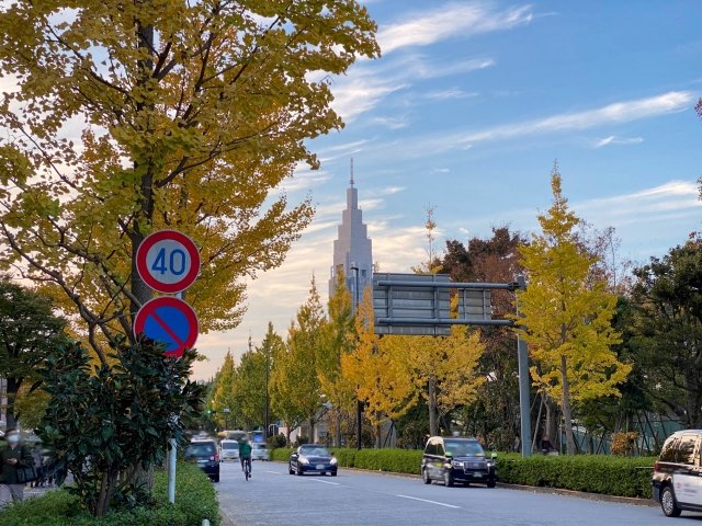 【東京都渋谷区・新宿区・代々木公園と東京体育館に隣接する静謐な都心オフィス拠点:代々木・千駄ヶ谷エリアの徹底解説と賃貸オフィスのご紹介(2026年最新)】
