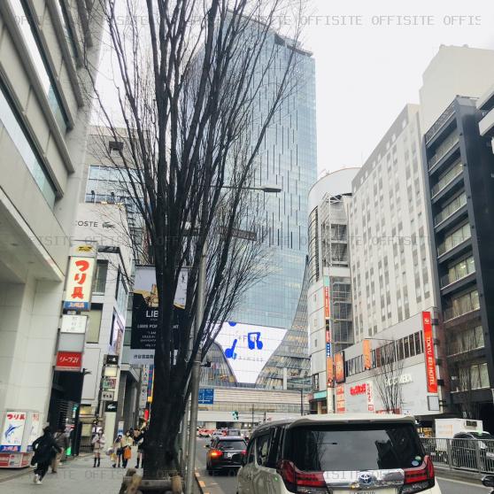 セルモ渋谷ビルの前面道路