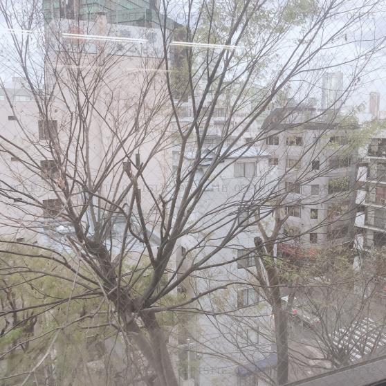 ＮＢＦ渋谷イーストビルの眺望