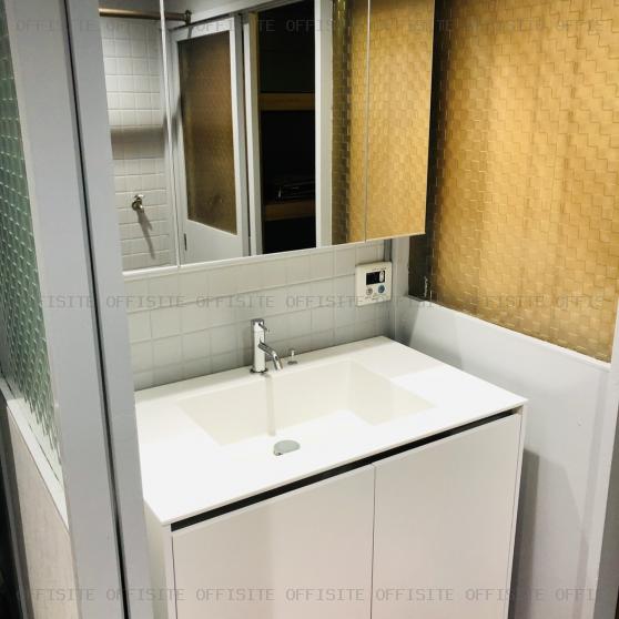 セントラルコーポラスの105号室 洗面台