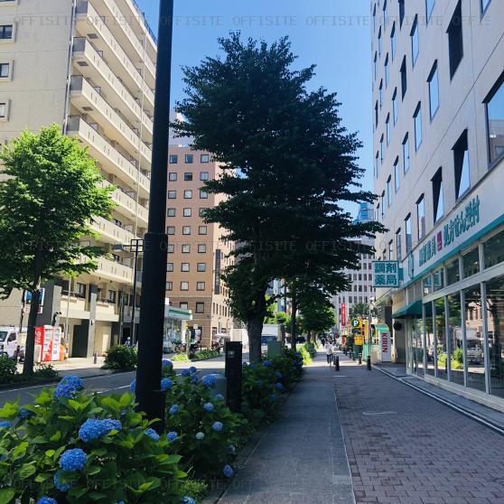 ＤＳＭ新横浜ビルの前面道路