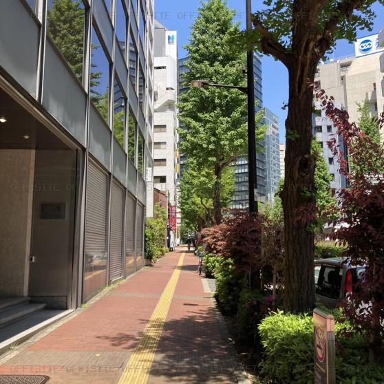 小川町進興ビルのビル前面道路