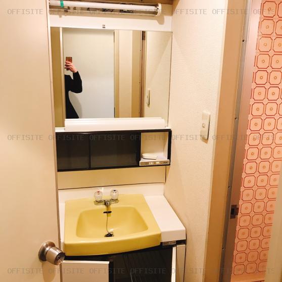 スカイプラザ赤坂の401号室 洗面台