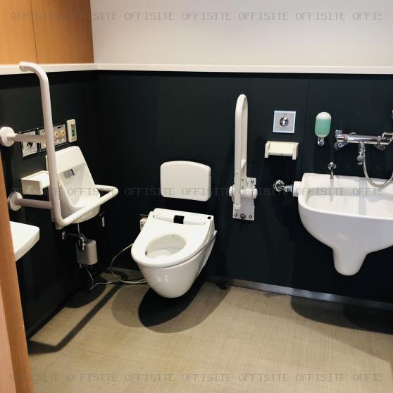 ダイバーシティ東京オフィスタワーのトイレ