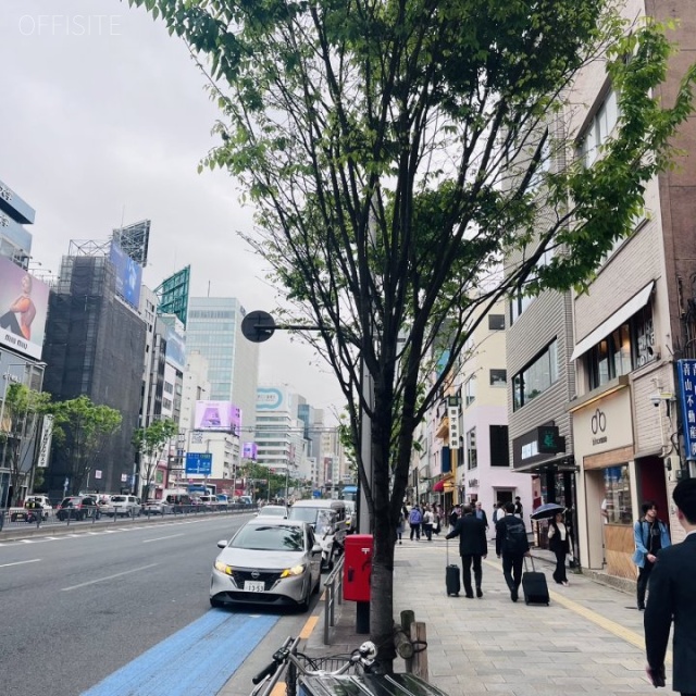 ミヤヒロビル 前面道路(青山通り)