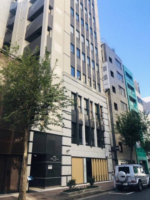 ティアラグレイス銀座タワー 外観