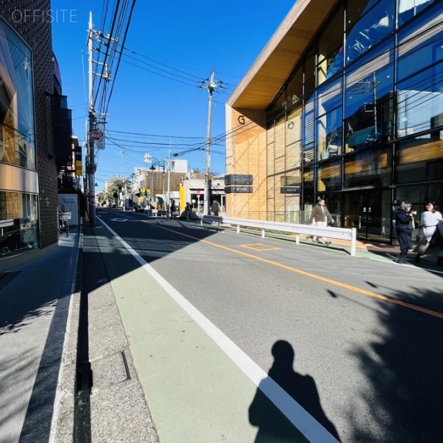 BIOPHILIA PLACE JIYUGAOKA 前面道路