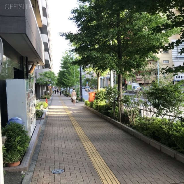 日本生命音羽ビル ビル前面道路