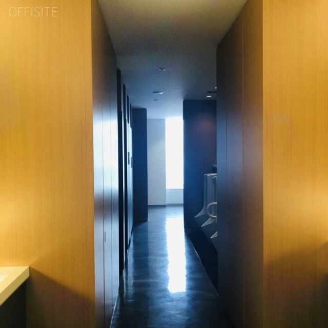 ダイバーシティ東京オフィスタワー トイレ