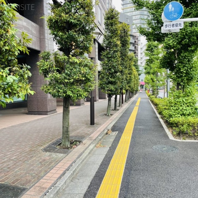 光村(ミツムラ)ビル ビル前面道路