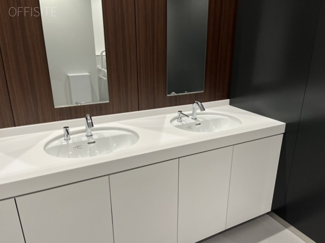 明治薬科大学剛堂会館 洗面