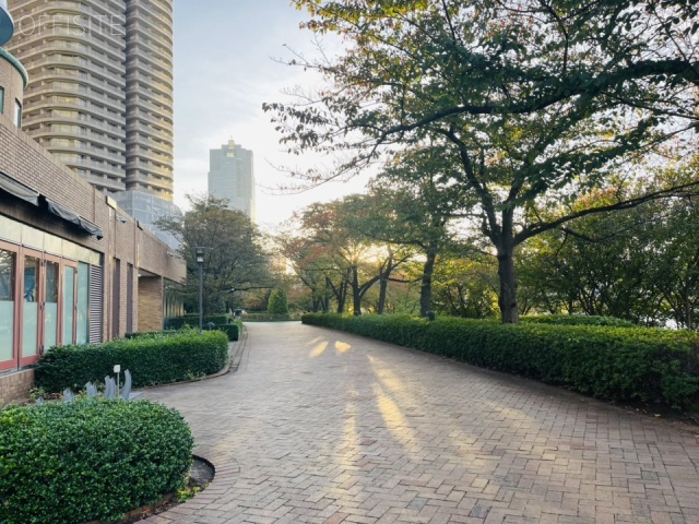 ピアウエストスクエア・ノースウィングビル 周辺