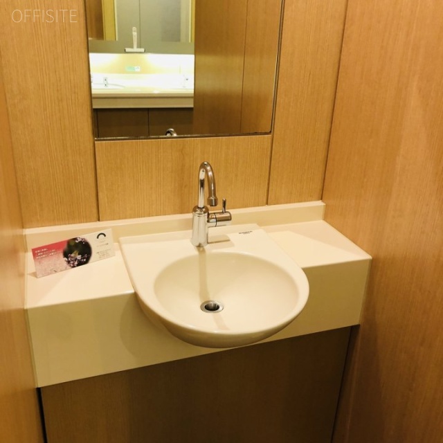 ゲートシティ大崎ウエストタワー 洗面台