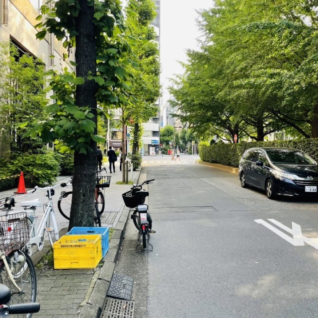 花の東京ビル 前面道路