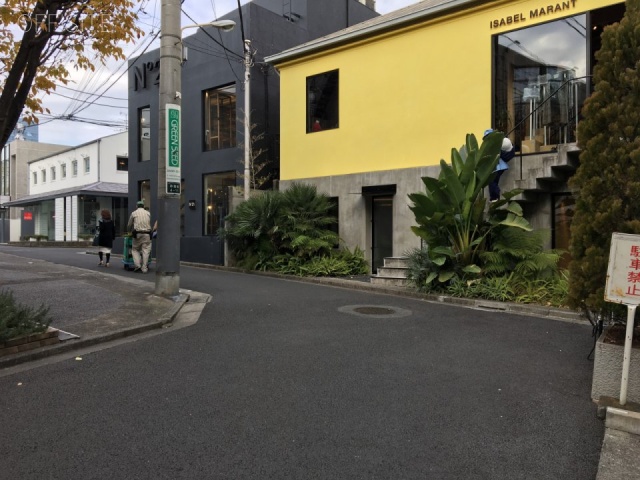東京セントラル表参道 ビル前面道路