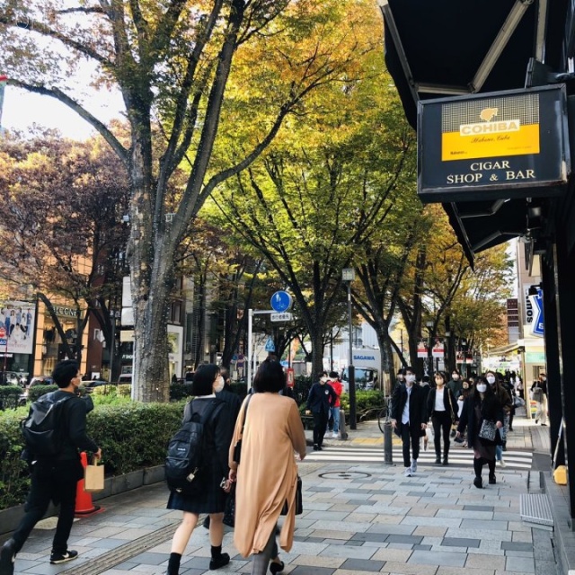 原宿ピアザビル ビル前面道路