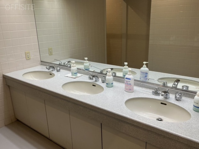トラスティ麹町ビル 洗面