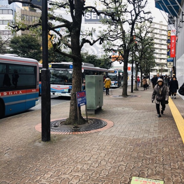 THE CENTRAL OMORI ビル前面道路