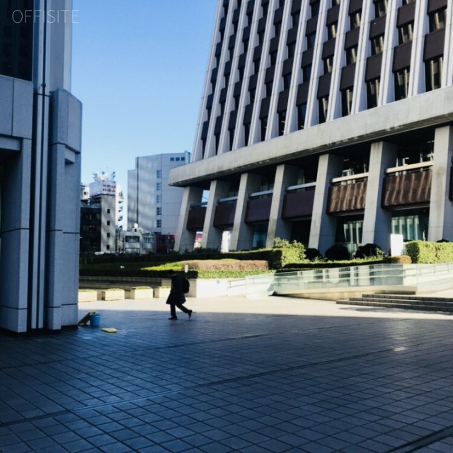 新宿野村ビル ビル前面道路