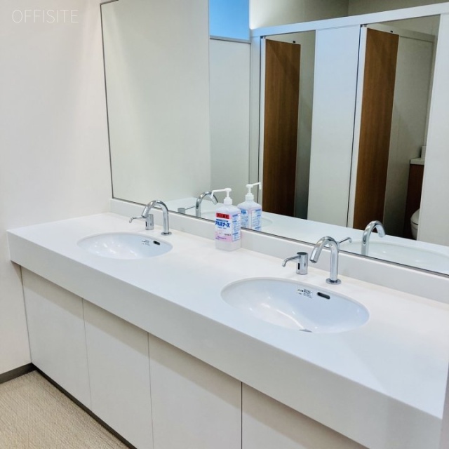 晴海アイランドトリトンスクエアオフィスタワーW棟 洗面台