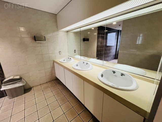 グレイスロータリービル 洗面