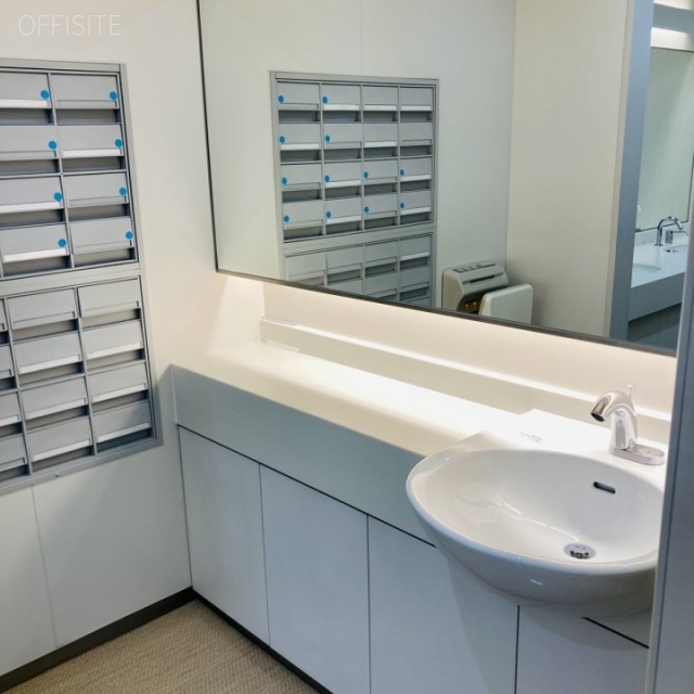 晴海アイランドトリトンスクエアオフィスタワーW棟 女性トイレ洗面台