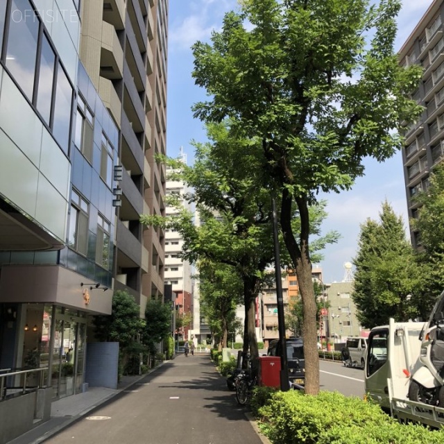 鈴中ビル大森ANNEX ビル前面道路