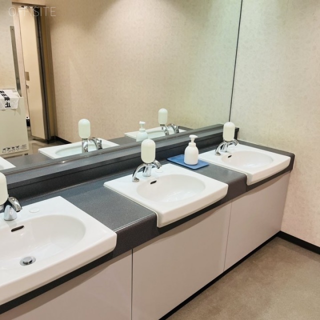 日本薬学会長井記念館 洗面