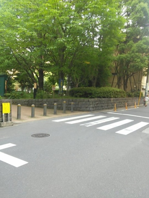 ハイパーク日本橋 ビル前面道路