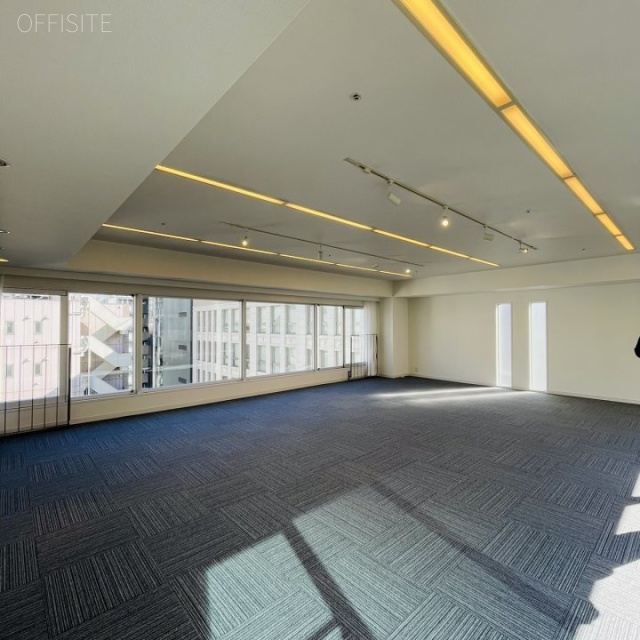 デュープレックス銀座タワー8/14 室内(1102)