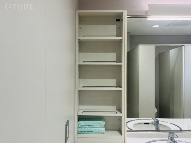 一星芝ビルディング トイレ収納