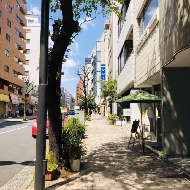 隼町MTビル ビル前面道路