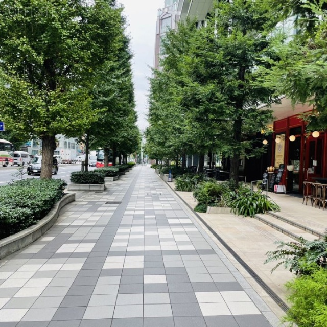 東京スクエアガーデン ビル前面道路