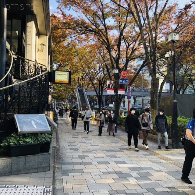 原宿ピアザビル ビル前面道路