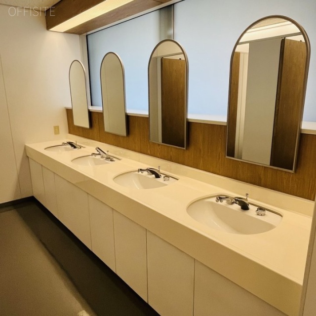 晴海アイランドトリトンスクエアオフィスタワーY棟 洗面