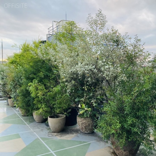 KASUMICHO TERRACE 屋上テラス