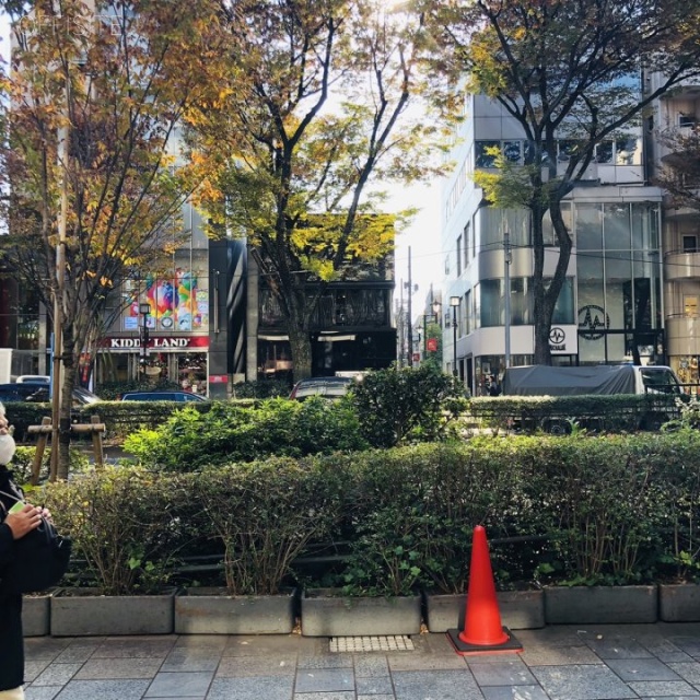 原宿ピアザビル ビル前面道路