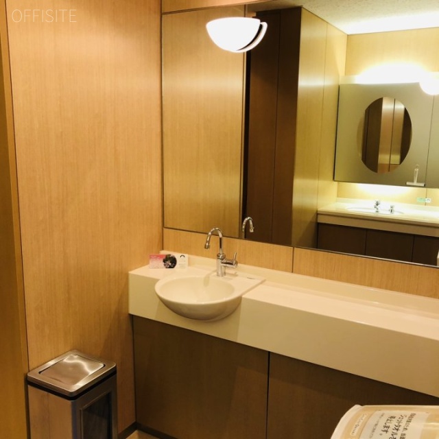 ゲートシティ大崎ウエストタワー 洗面台