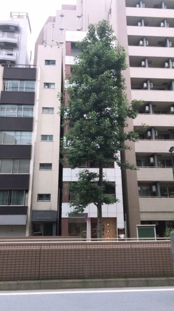 DJ銀座ビル 外観