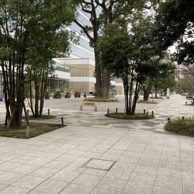 中野セントラルパークサウス 周辺