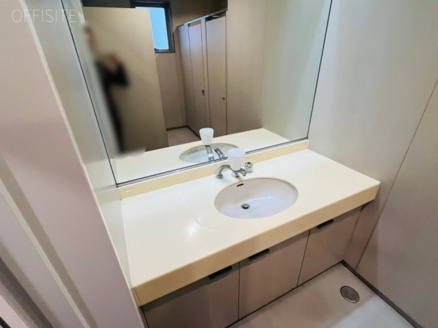 ザ・パークレックス新川 洗面