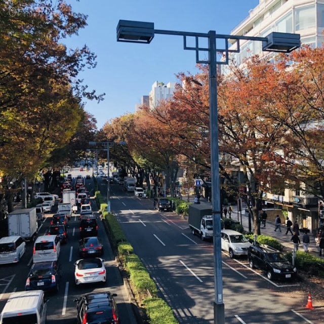原宿ピアザビル ビル前面道路