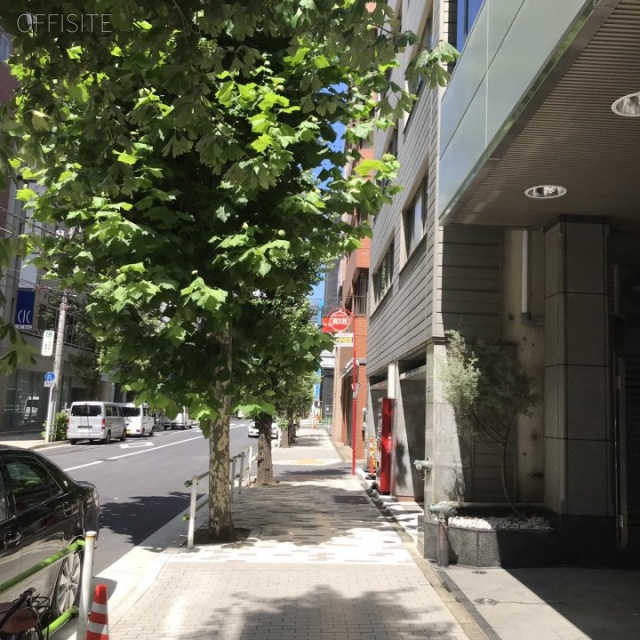 アソルティ新橋 ビル前面道路