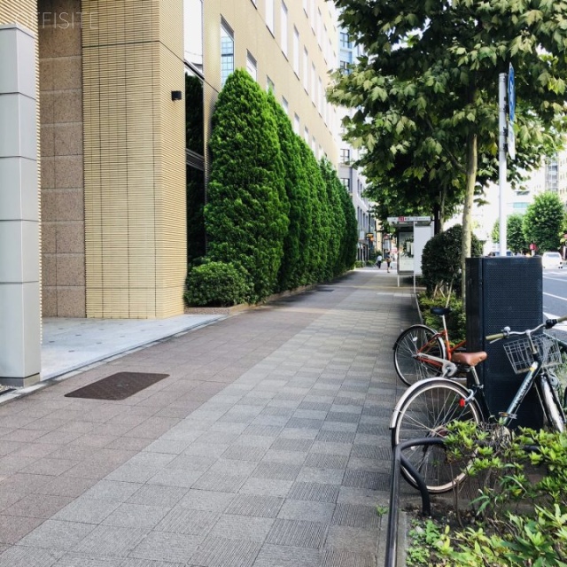 新光第5ビル ビル前面道路