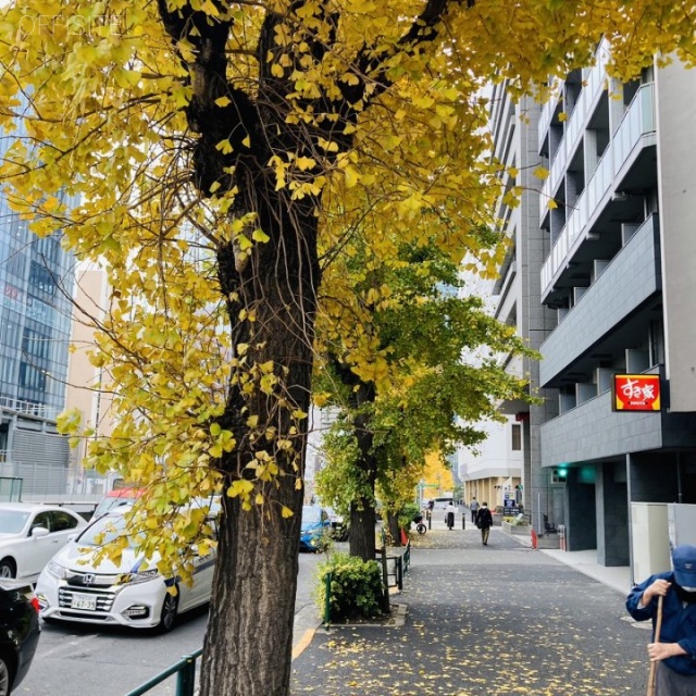 八千代ビル ビル前面道路