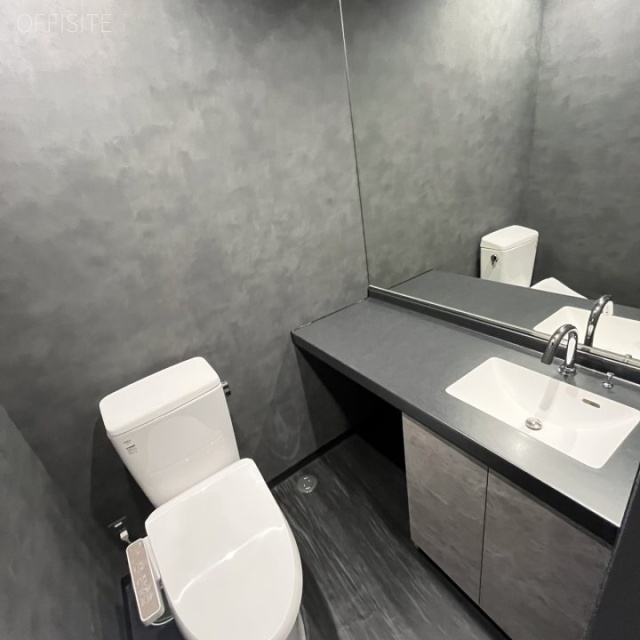 MIYAMA AVENIR TERRASSE 洗面