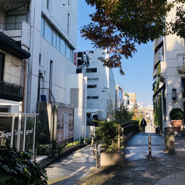 原宿ピアザビル ビル前面道路