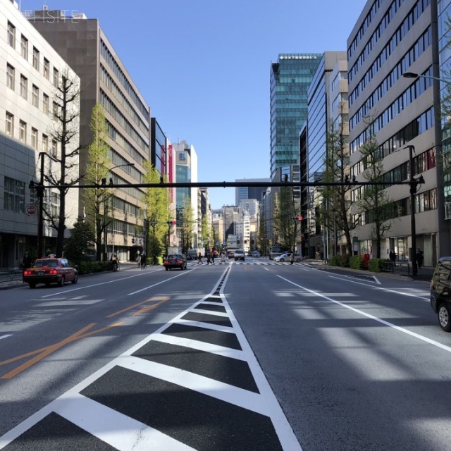 楠本第2ビル ビル前面道路