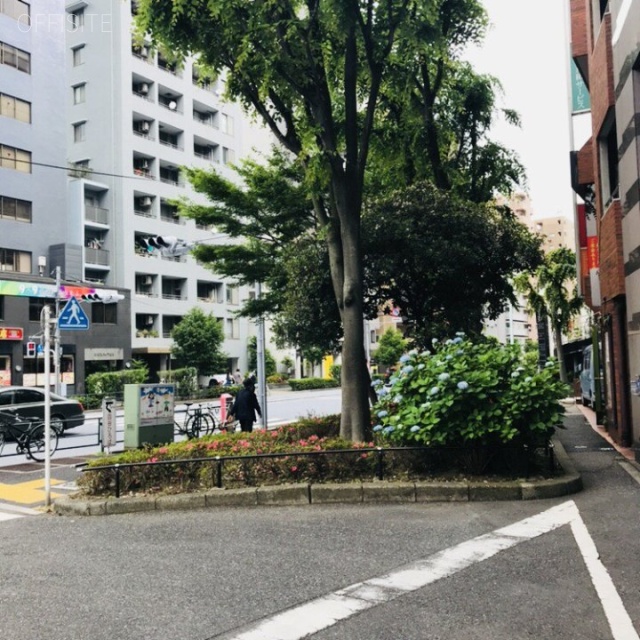 富士ビル ビル前面道路